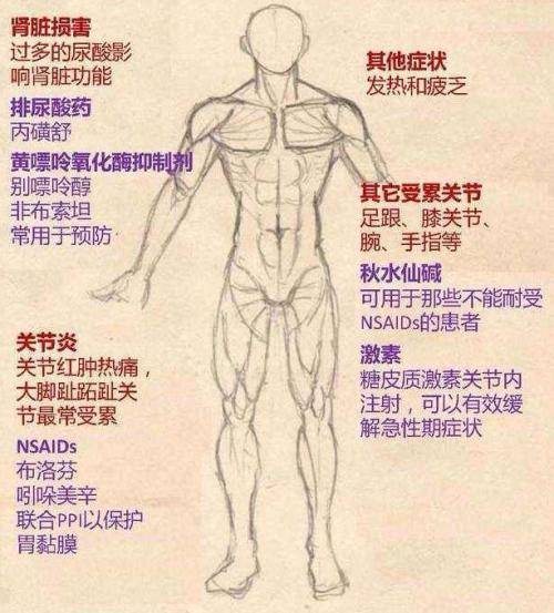 痛风患者降尿酸目标值到多少才达标？