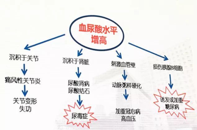 高尿酸血症会引起肾病尿毒症吗?