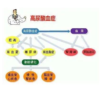 痛风发作不要慌，教你几点小妙招！