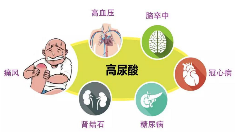 高尿酸是怎么回事？细数高尿酸痛风病人的非药物管理