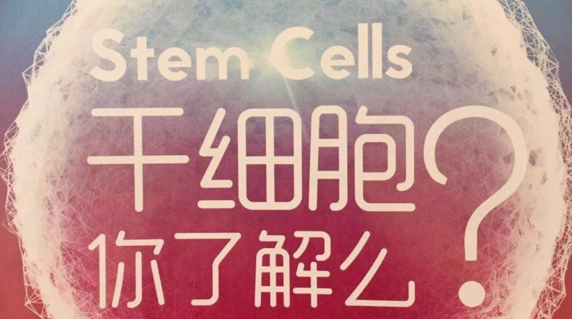细胞是什么东西，做干细胞注射是不是骗人的