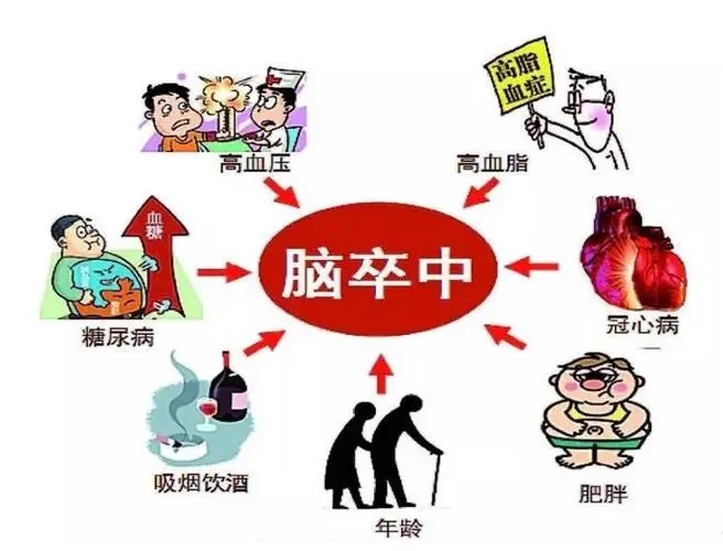 脑卒中是怎么形成的,肽对中风病人有用吗?