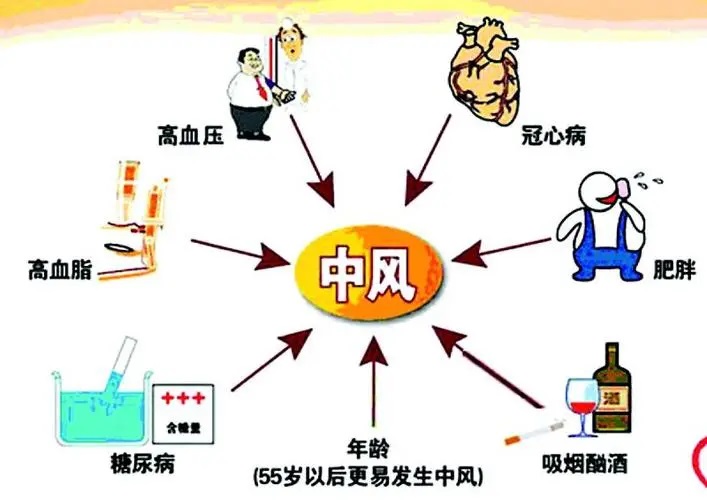 地龙蛋白治什么病,地龙蛋白对脑血栓的作用.