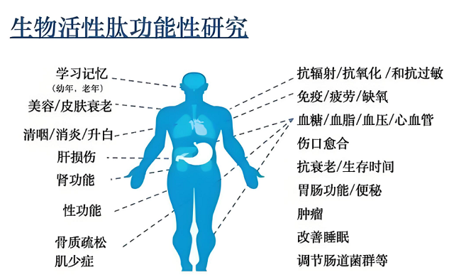 什么肽更适合老年人吃,老年人吃肽食用量多少?