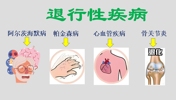 活性肽真的可以预防退行性疾病吗？