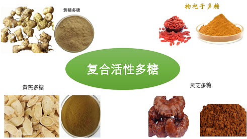 活性多糖对免疫的调节作用,生物活性多糖能激活细胞吗?