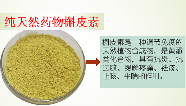 槲皮素对流感病毒的作用,槲皮素抗流感病毒效果好吗？