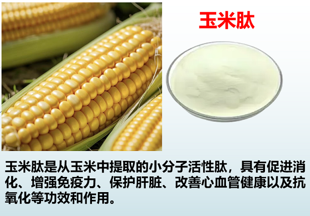 玉米肽对痛风有用吗,玉米肽能降尿酸吗