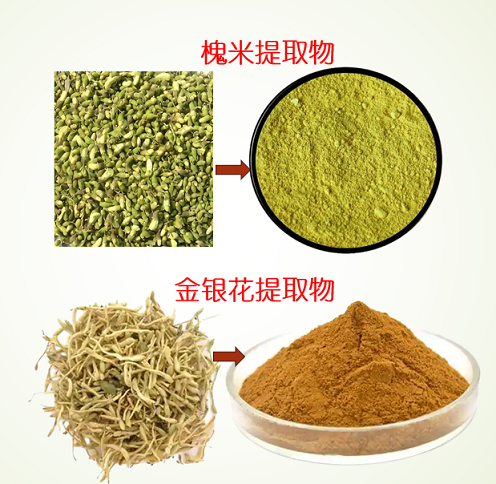 槐米金银花片对皮肤炎症应用效果,槐米金银花片对皮肤过敏效果好吗？