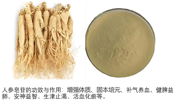 人参皂苷改善心肌功能作用,人参皂苷适合心脏病人服用吗？