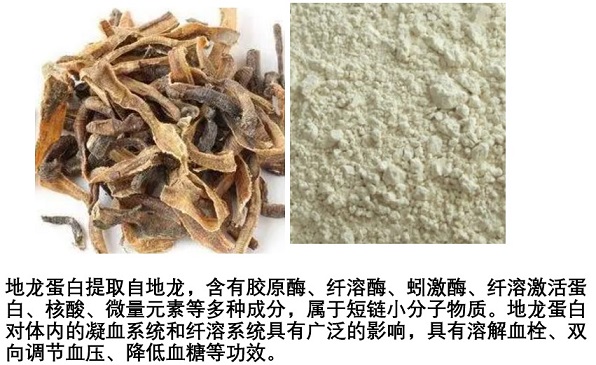 地龙蛋白肽对脑血栓后遗症的作用机制,地龙蛋白肽能溶血栓吗?