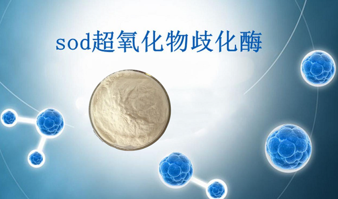 sod超氧化物歧化酶能调理哪些疾病,sod超氧化物歧化酶效果如何?