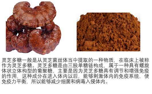 灵芝多糖调节免疫功能的作用,芝多糖调节免疫功能效果好吗？