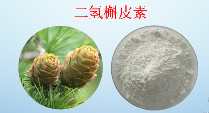 二氢槲皮素抗肿瘤吗,二氢槲皮素抗肿瘤新生血管吃多久有效?