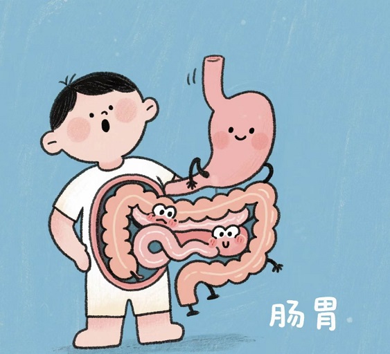 活性肽对肠胃的影响,调理肠胃吃肽有效吗？
