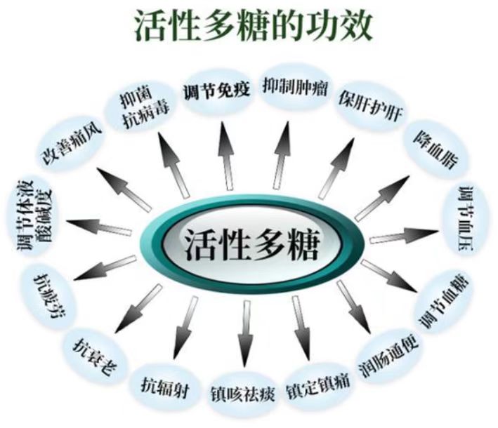 活性多糖对肿瘤的影响,活性多糖预防肿瘤吗？