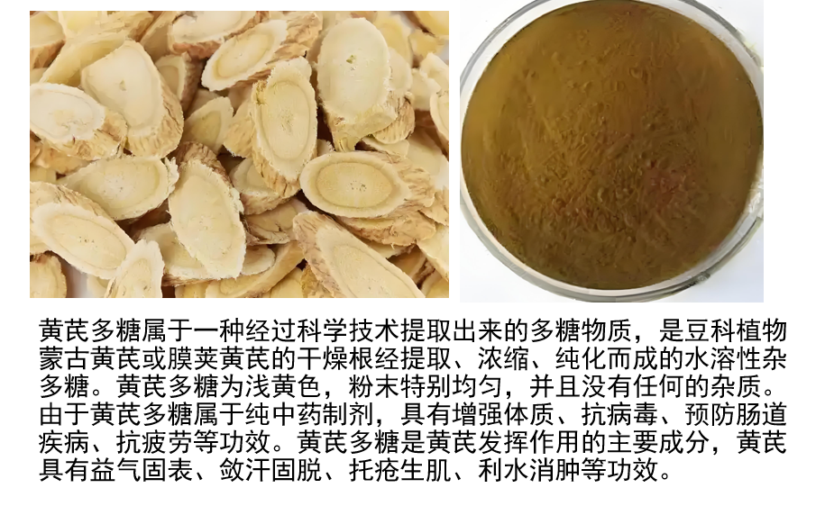 黄芪多糖抗病毒作用原理,黄芪多糖抗病毒效果好吗?