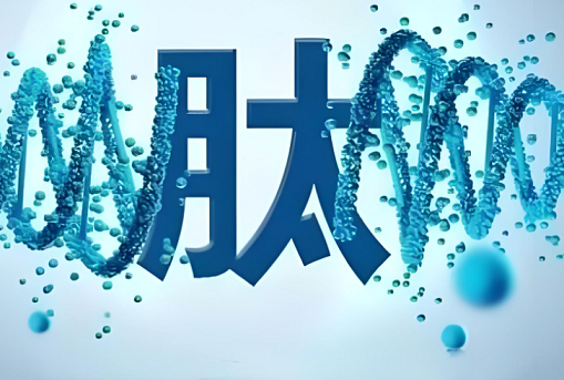 自身免疫性疾病可以吃活性肽吗,活性肽对免疫性疾病的作用.