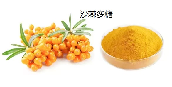 沙棘多糖对调节胃肠道的功能及应用效果