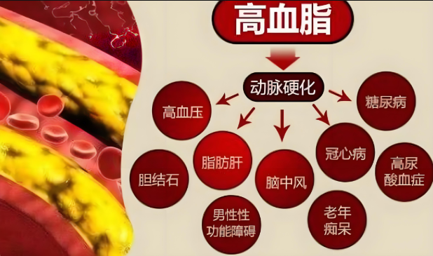 人参牛骨髓复合肽正品全国批加盟降血脂