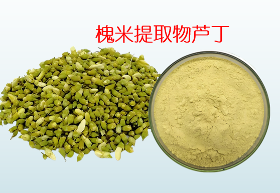 槐米提取物芦丁.png
