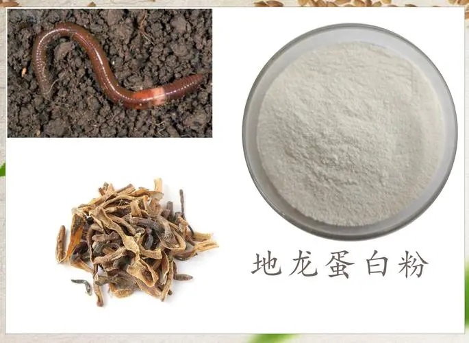 地龙蛋白作用.jpg