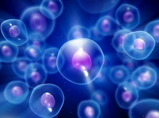 细胞再生.png 细胞再生.png