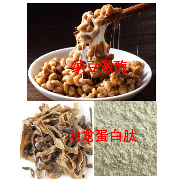 纳豆地龙蛋白肽与改善脑供学不足有帮助吗,应用效果如何？