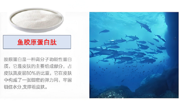 鱼胶原蛋白肽对术后营养补充的作用,鱼胶原蛋白肽适合术后人群吃吗？